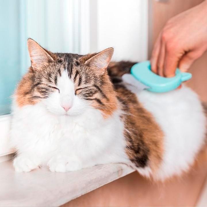 Escova 2 em 1 Para Gatos - Remove Pelos e Massagea